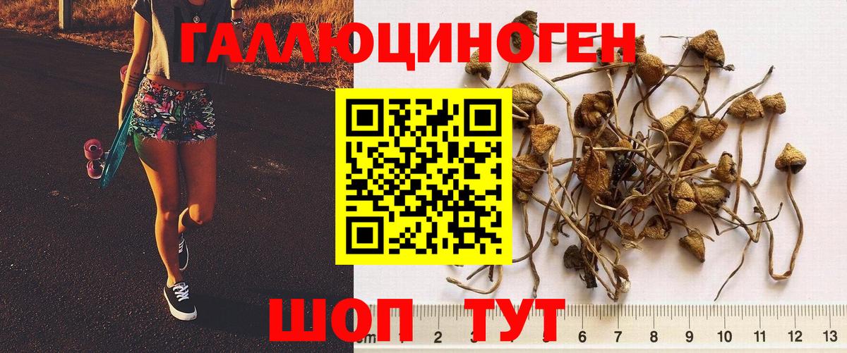 Новоуральск  Галлюциногенные грибы прущие грибы  Вход с VPN  Псилоцибиновые грибы мухоморы 