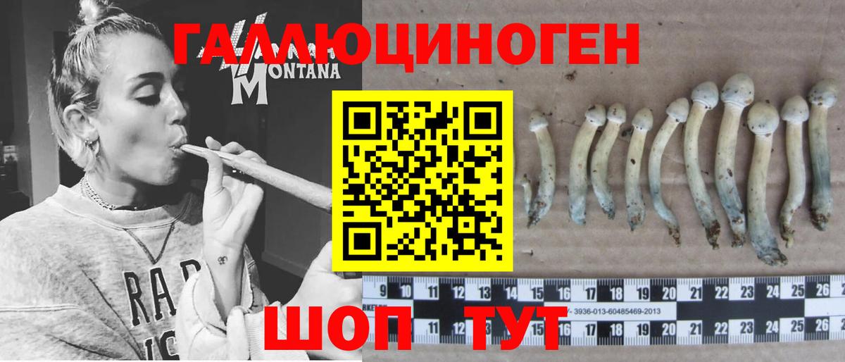 Галлюциногенные грибы GOLDEN TEACHER Новоуральск